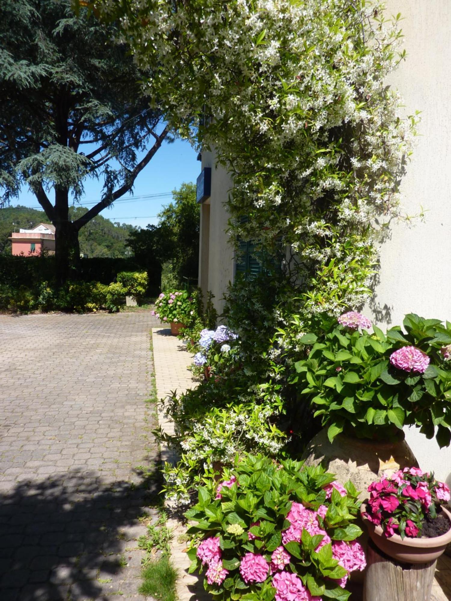 Hotel Silvia Framura - Cinque Terre Экстерьер фото