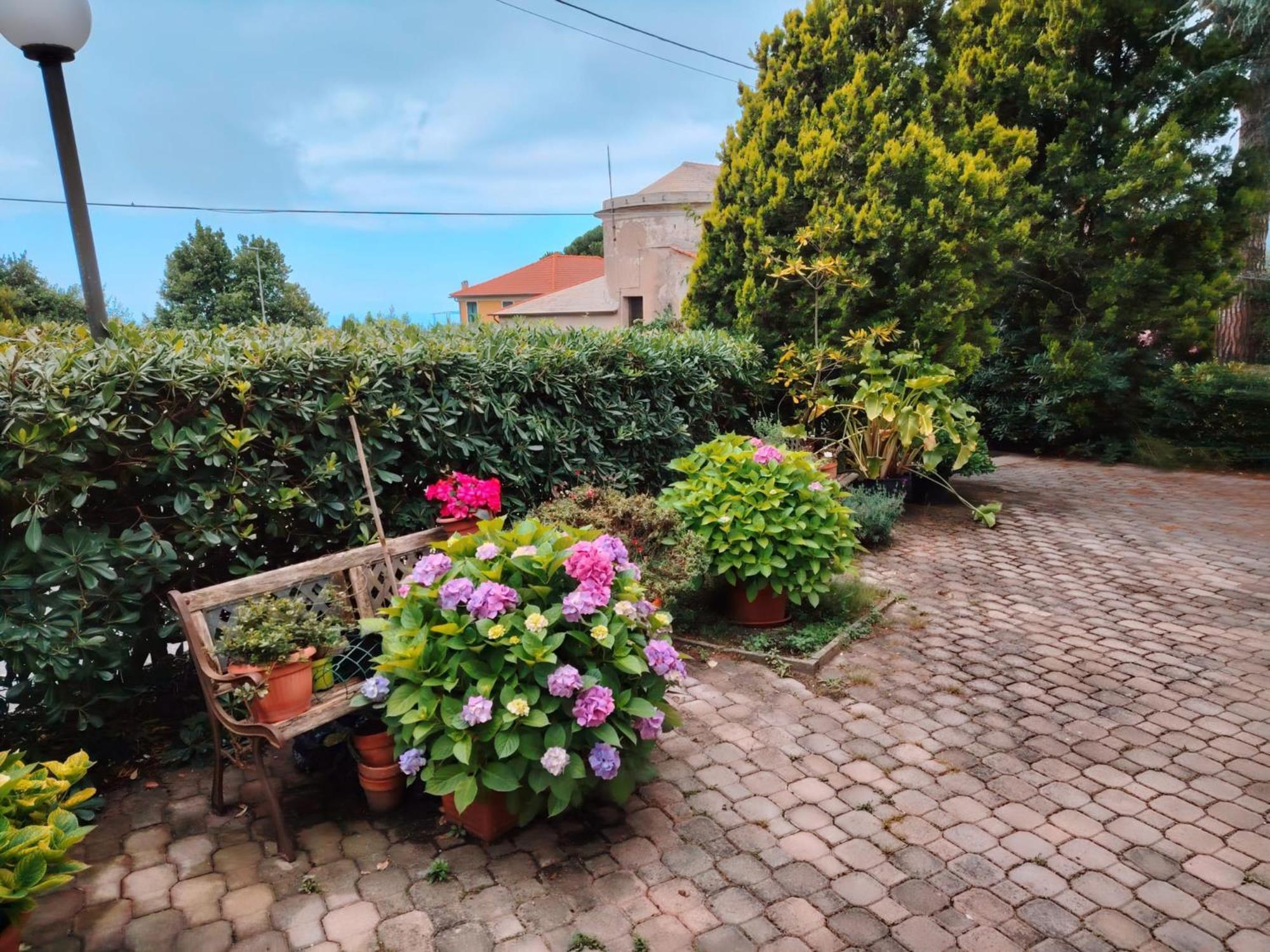 Hotel Silvia Framura - Cinque Terre Экстерьер фото