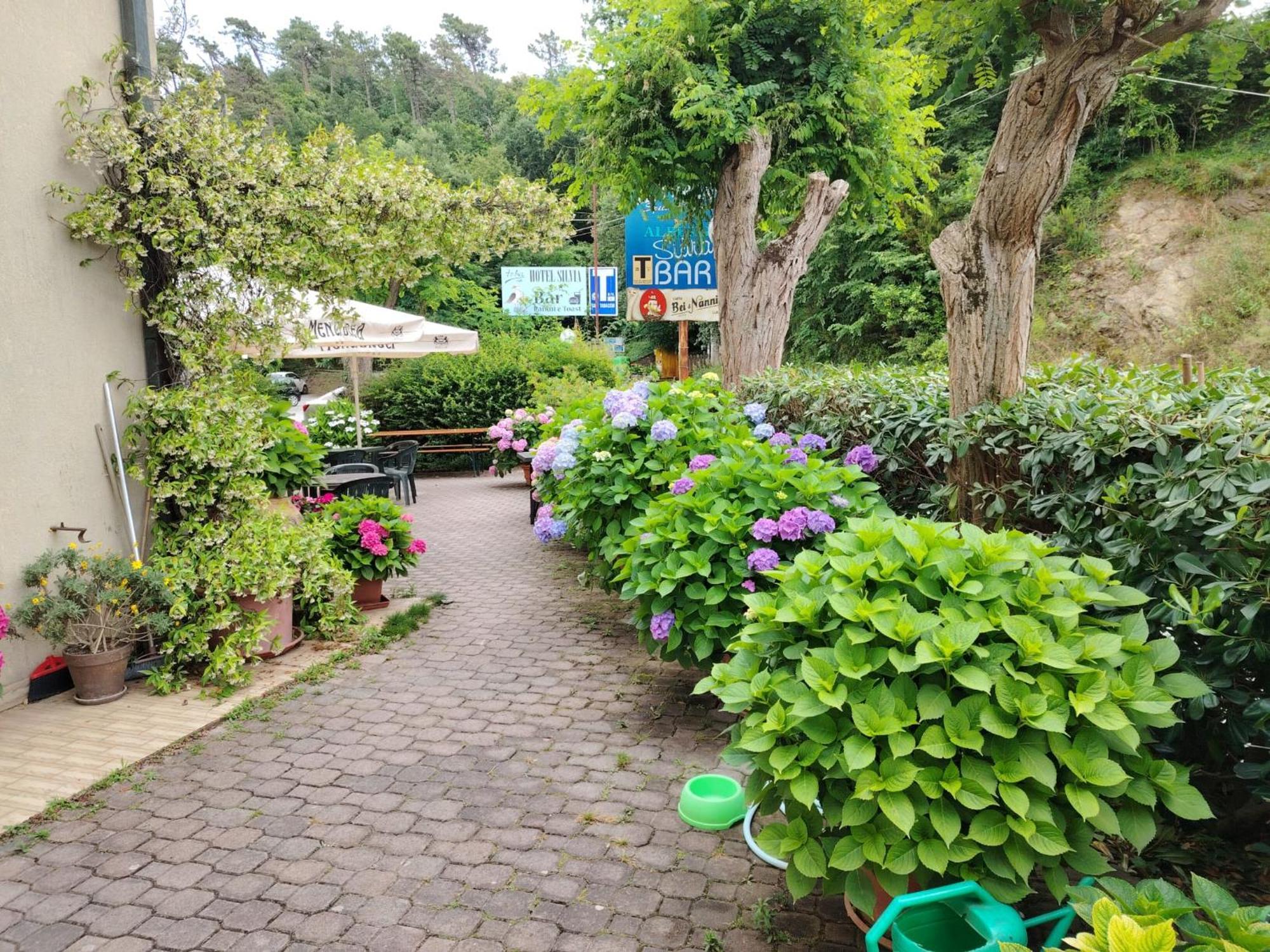Hotel Silvia Framura - Cinque Terre Экстерьер фото