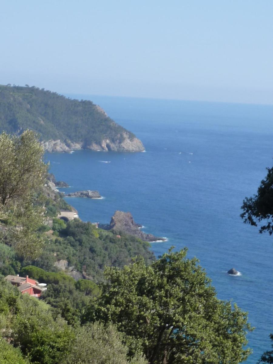 Hotel Silvia Framura - Cinque Terre Экстерьер фото