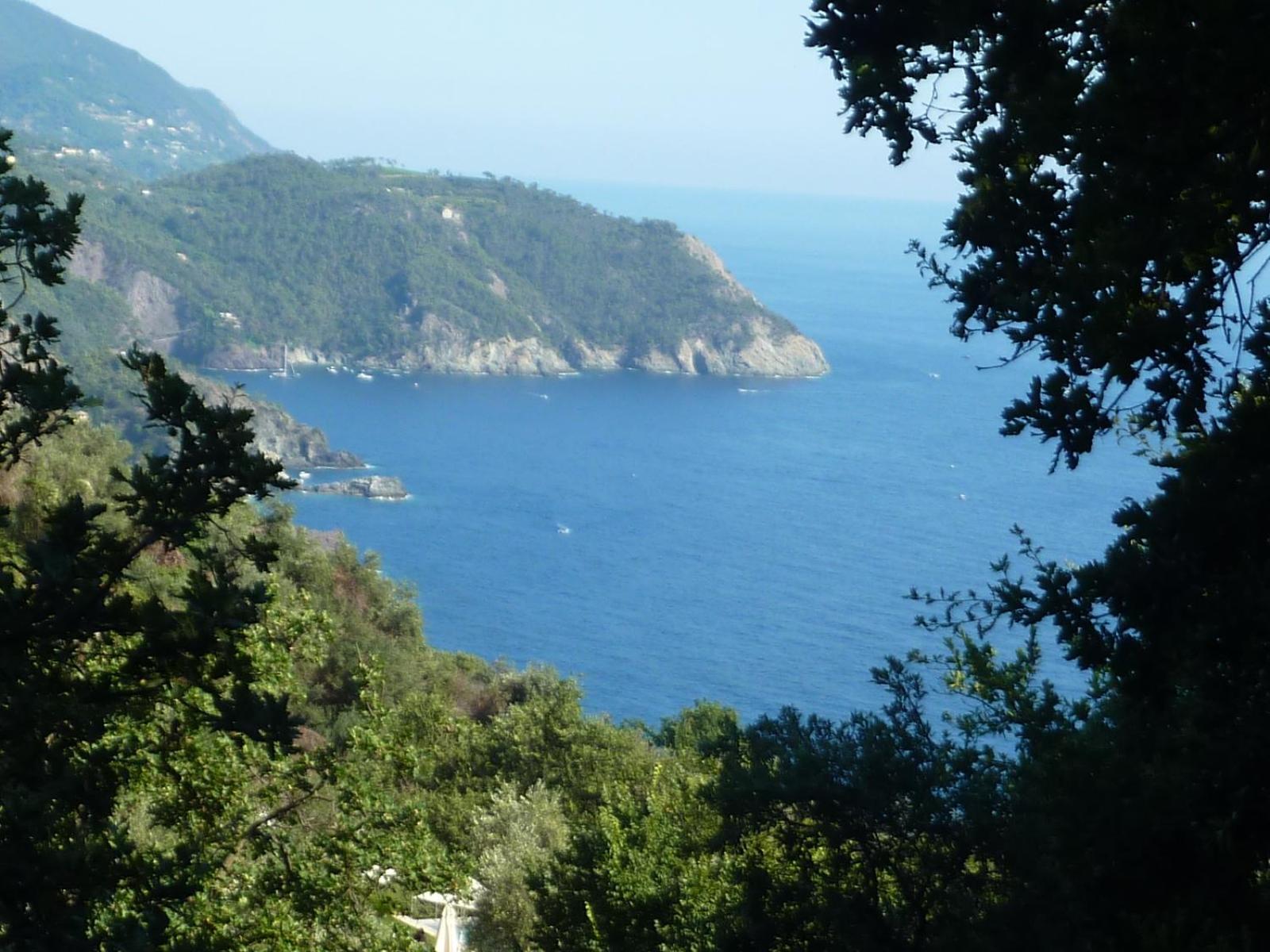 Hotel Silvia Framura - Cinque Terre Экстерьер фото